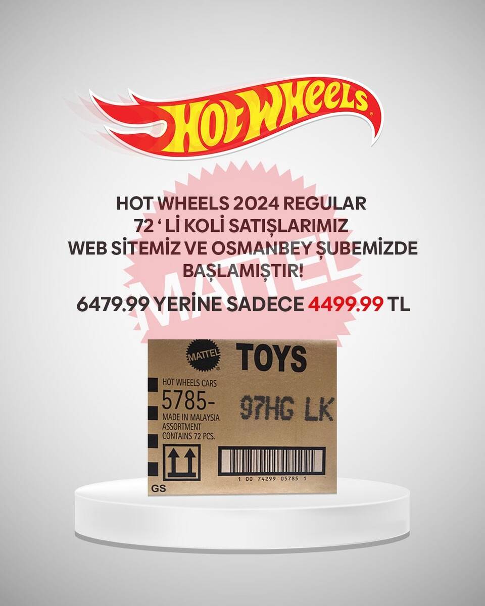 Hot Wheels Regular 2024 72'li Koli G Case
