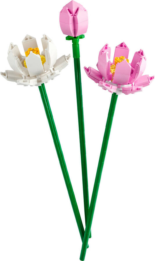 LEGO Iconic Lotus Çiçekleri 40647