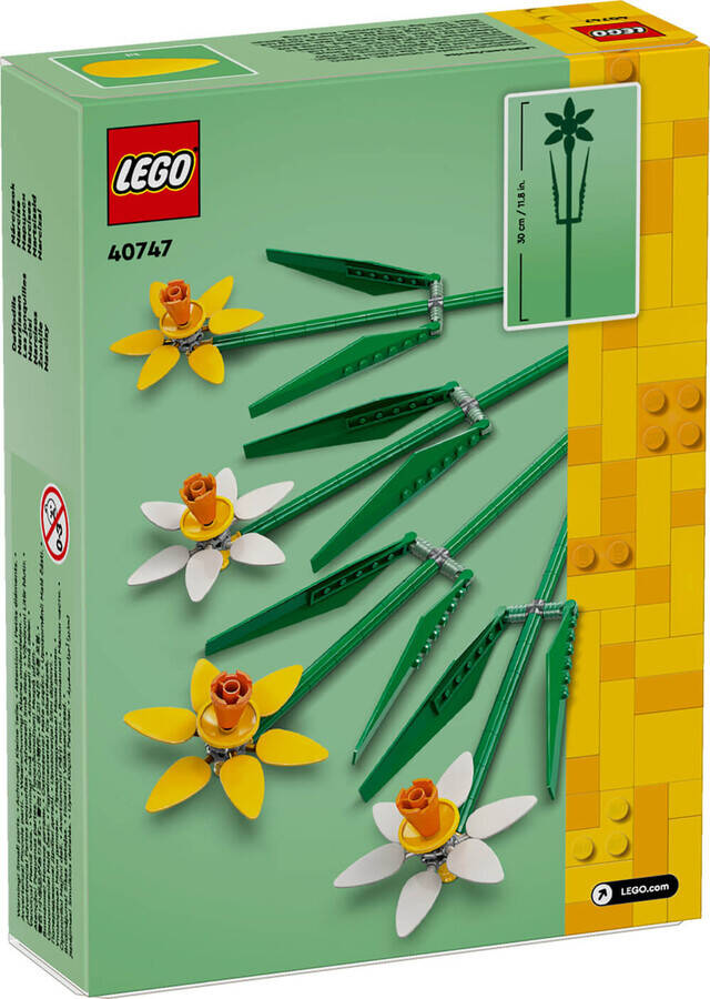 LEGO Iconic Nergis 40747